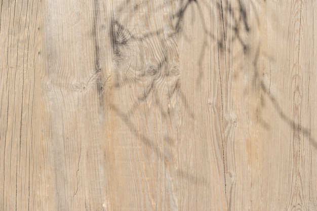 Photo texture of wood background