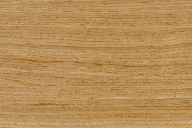 Photo texture of wood pattern background, low relief texture of the surface can be seen