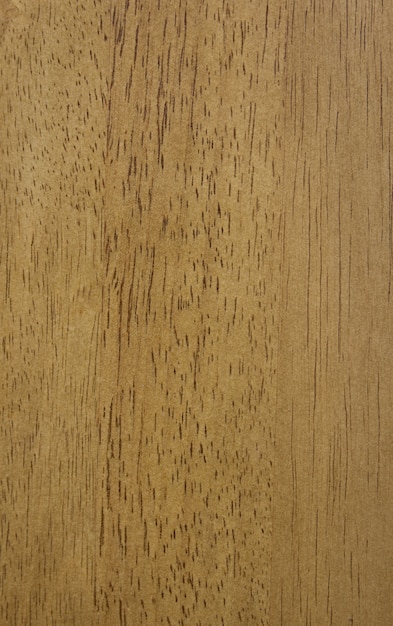 texture of wood pattern background