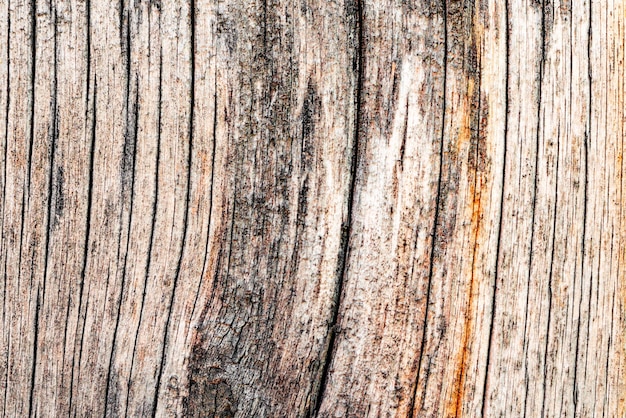 Texture, wood, wall background. Wooden texture with scratches and cracks