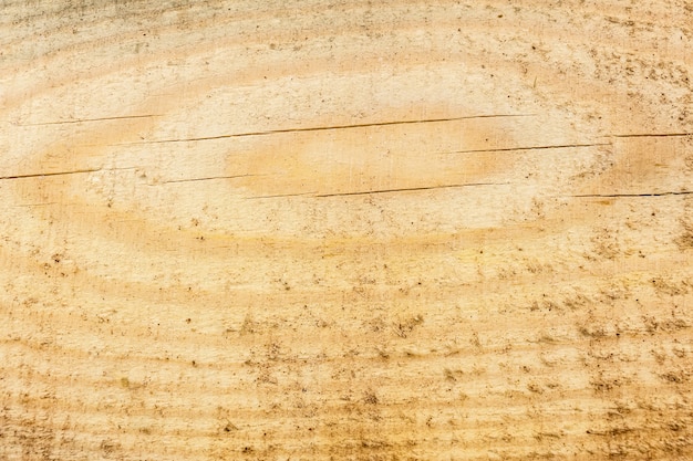 Texture wooden background