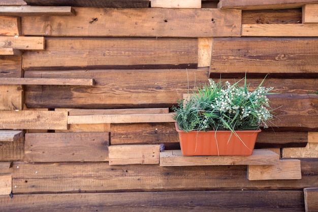 Texture wooden garden things