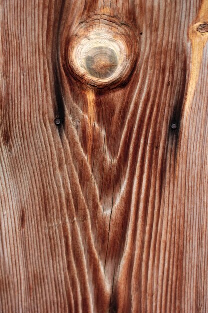 The texture of a wooden log The texture of lumber