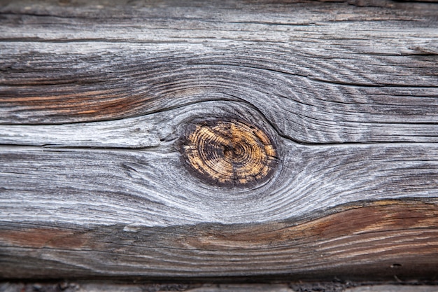 Photo texture of a wooden log with a knot