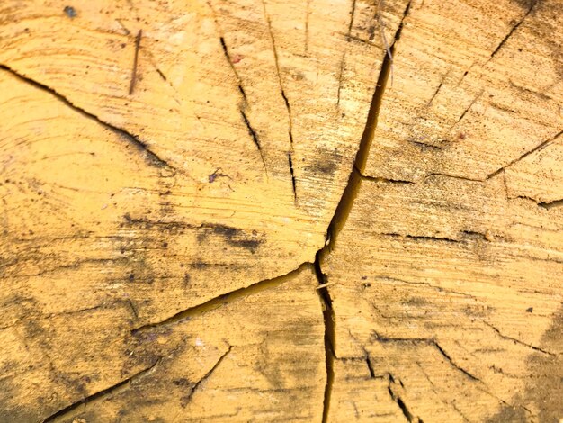 The texture of the wooden sawn log round in the section of the natural with the cracks