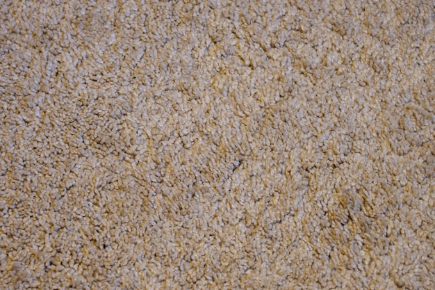 Texture of woolly carpet as a background