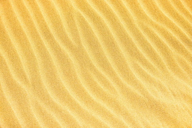 Photo texture of yellow desert sand dunes. can be used as natural background