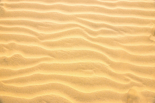 Texture of yellow desert sand dunes. Can be used as natural background