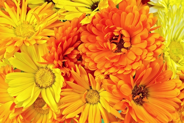 Texture of yellow and orange flowers of calendula