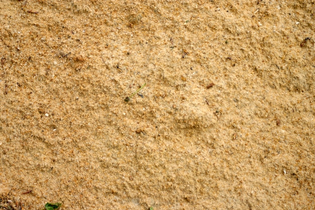 Texture of yellow sand.