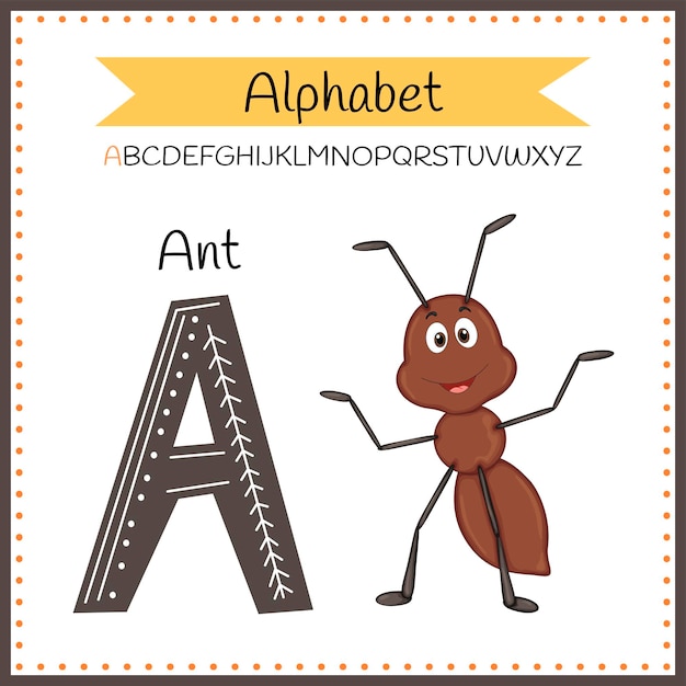 Photo textured bold font alphabet a a for ant cartoon