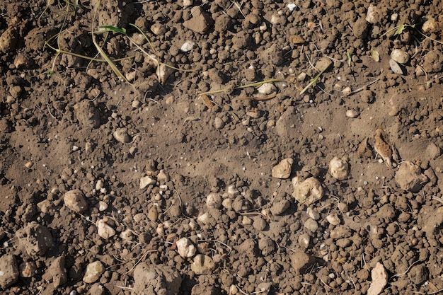 Photo textured of freshly tilled soil as background gardening season generative ai