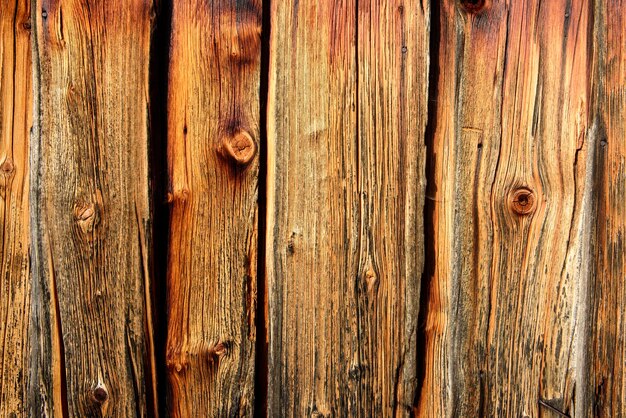 Photo textured natural pattern of wood