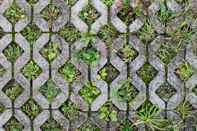 Textured paving slabs for car parking. Top view.