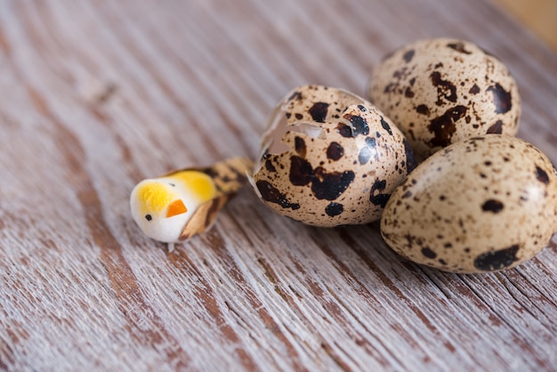 Textured spring background with small quail eggs. Eco products. 