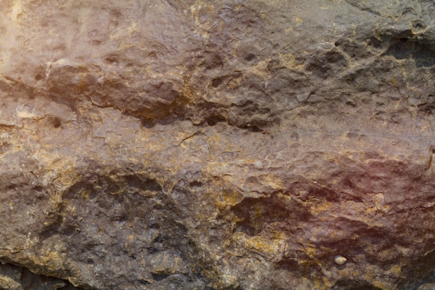 Textured surface of big rock on the shore in India