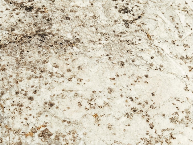 The textured surface of a concrete wall marble or light stone with dark spots Abstract background Creative background light gray with red and brown pieces of moss dirt and dust