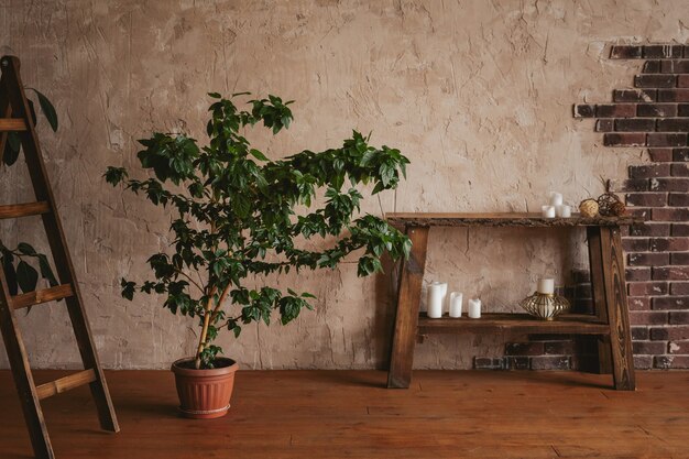 Textured wall with bricks, Benjamin's ficus, wooden stirrup and console.