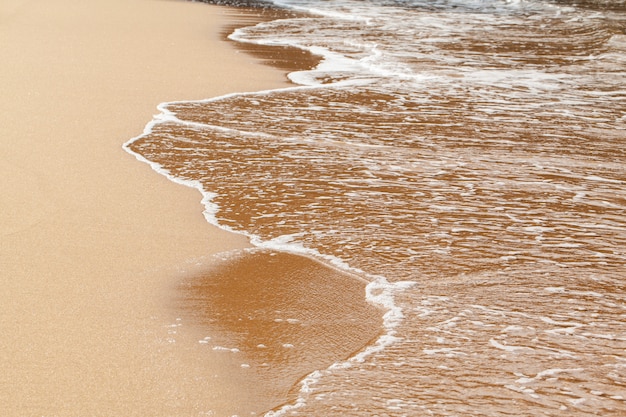 Photo textured wet sand beach background