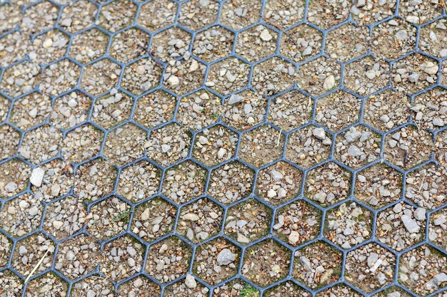 草を育てるための地面のテクスチャーされたワイヤーメッシュ