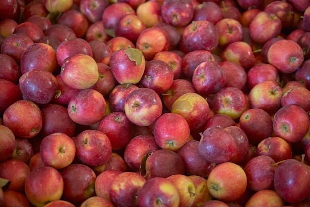 Texturen van veel rode appels.