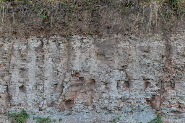 Foto texture e sfondi per usi diversi