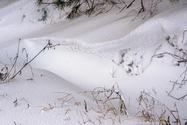 Textuur en volume van sneeuwbanken en planten bedekt met sneeuw