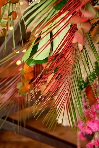 Textuur gekleurde palmbladerenHeldere zonnige zomer Creatief