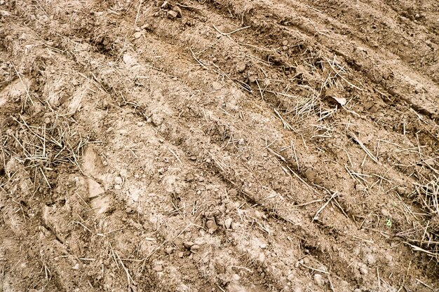 Textuur van bruin opgegraven land met bedden gedroogd gras takjes achtergrond