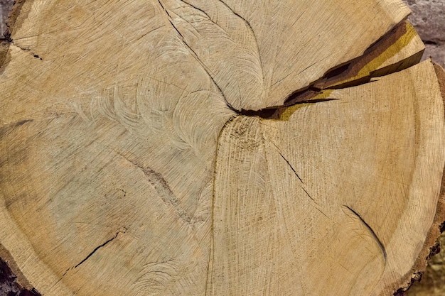 Textuur van de muur met houten planken