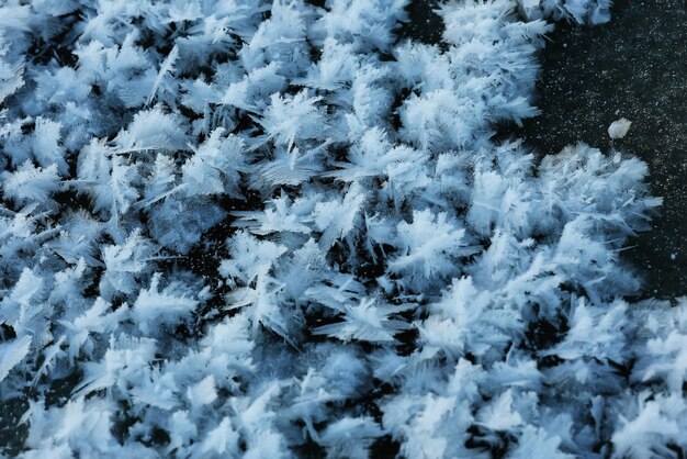 Textuur van de sneeuw