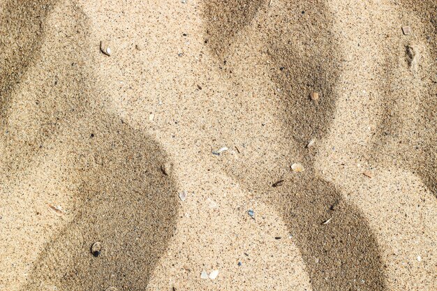 Textuur van fijn geel zand k met stukjes schelp en zeekiezelstenen.