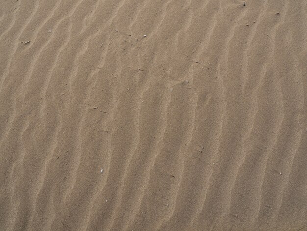 Textuur van gouden zand van het ebro-natuurpark spanje strandzandachtergrond