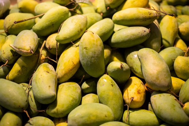 Textuur van groen sappig vers mangofruit. Groep verse groene mango voor verkoop. Thais fruit tropische rauwe mango's. Tropisch en exotisch fruit.
