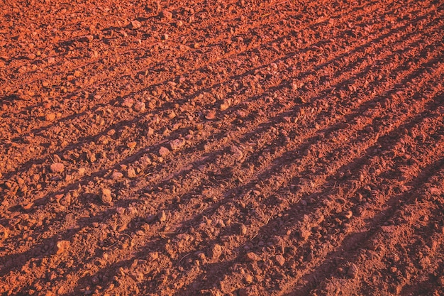 Textuur van het akkerbouwgebied Landbouwgrond