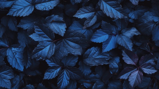 Textuur van het donkerblauwe bladpatroon
