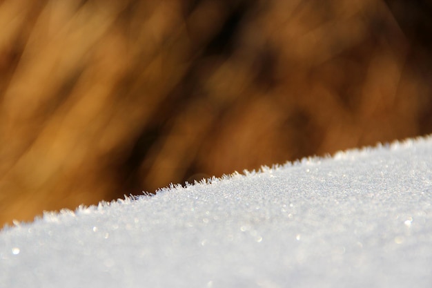 Textuur van het oppervlak bedekt met rijp in de winter Achtergrond met oppervlak bedekt met rijp Extreem natuurverschijnsel rijp op oppervlak Rijp sprankelend in zonnestralen