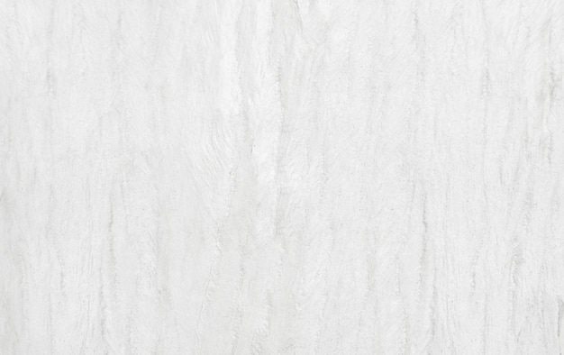 textuur van hout oud natuurlijk patroon of witte houtstructuur