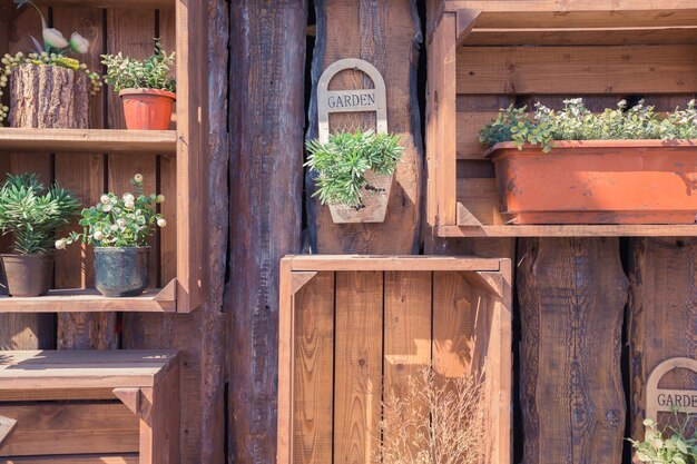 Textuur van houten muur met tuin dingen en groene planten