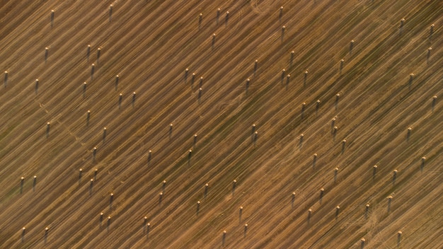 Textuur van landbouwgebied met hooibroodjes bovenaanzicht