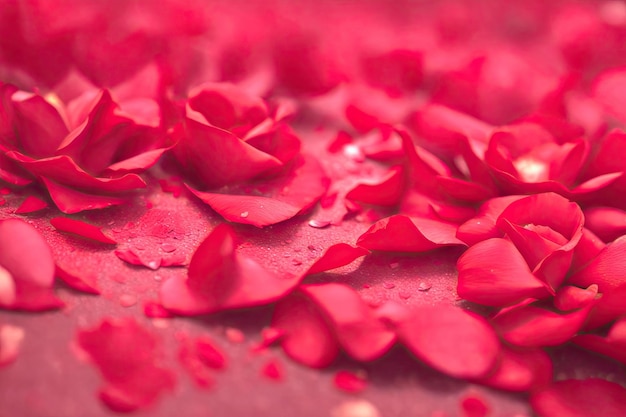 textuur van rode rozenblaadjes verspreid ai generatief