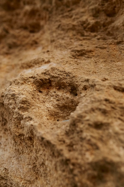 Textuur van shell rock en aarde close-up