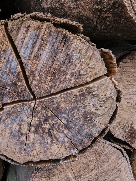 textuur van verweerd hout snijden achtergrond grunge
