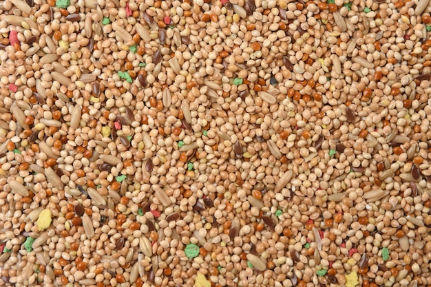 Textuur van voedsel voor parkietenmengsel van granen