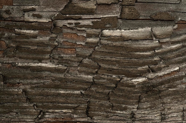 Textuur van zwart en donkerbruin oud hout Verkoold en verbrand oud bord Close-up van een verbrand bordtextuur Het ruwe oppervlak van ebbenhout veroorzaakt door een brandend vuur Donkere houtskool of houtskoolmateriaal