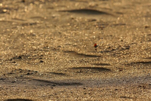 textuur woestijnzandduinen golven