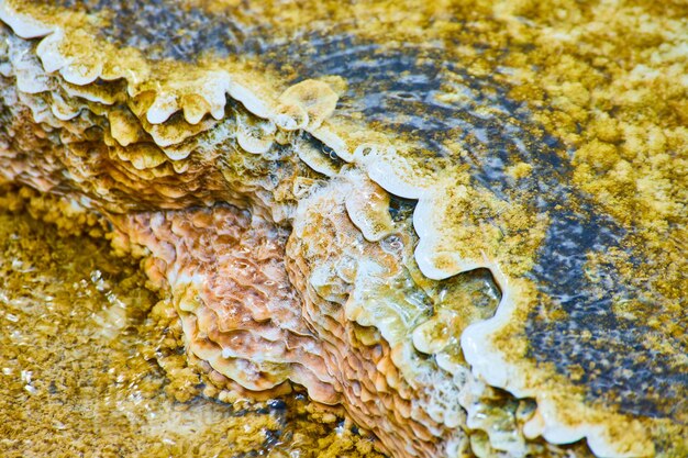 Textuuractiva-macro van tientallen terraslagen in de hete lente van Yellowstone