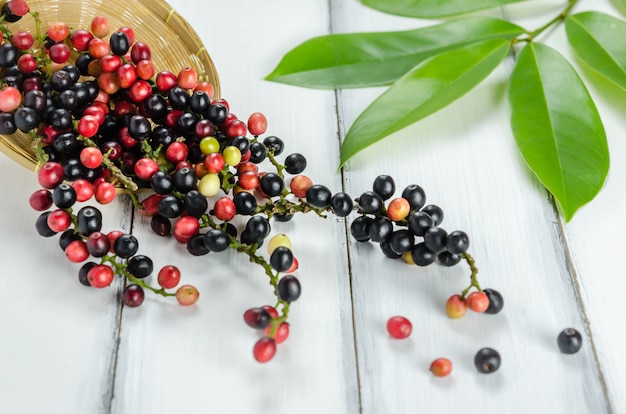 Thai Blueberry fruit