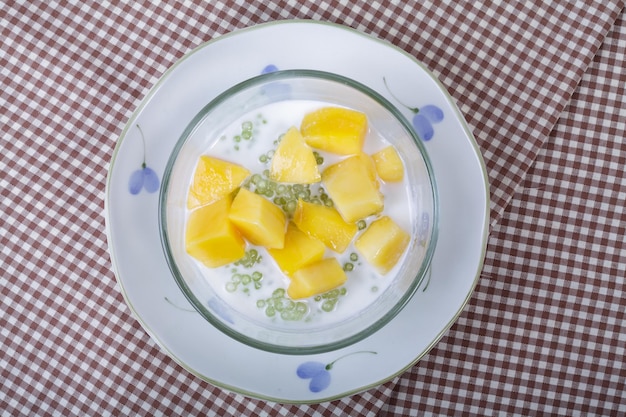 Thai dessert of sago with coconut milk and mango