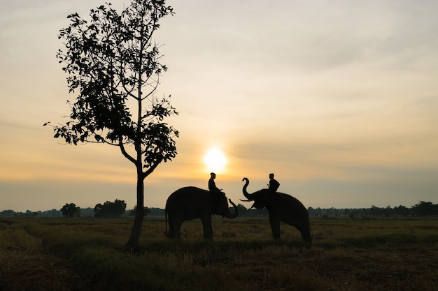 Thai elephant silhouette